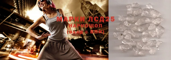 ГАЛЛЮЦИНОГЕННЫЕ ГРИБЫ Богданович