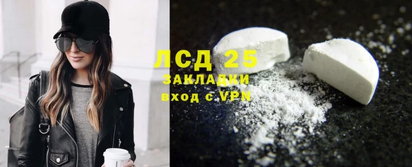 ГАЛЛЮЦИНОГЕННЫЕ ГРИБЫ Богданович