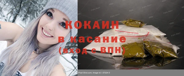 спиды Богородицк