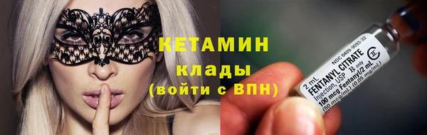 спиды Богородицк