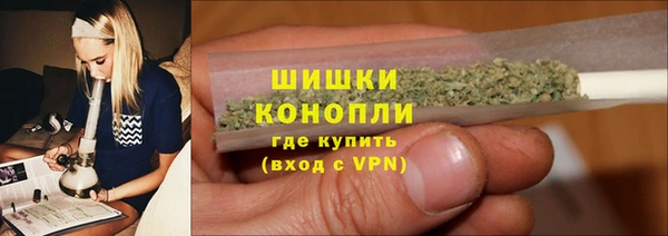 мдпв Богородск