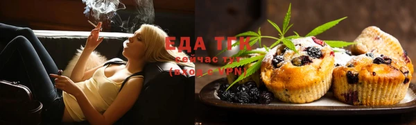 спиды Богородицк
