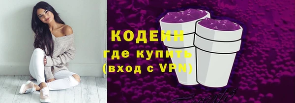 мдпв Богородск
