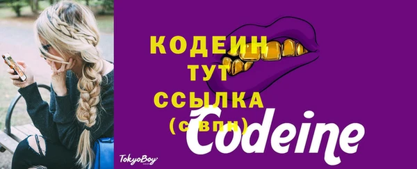 мдпв Богородск