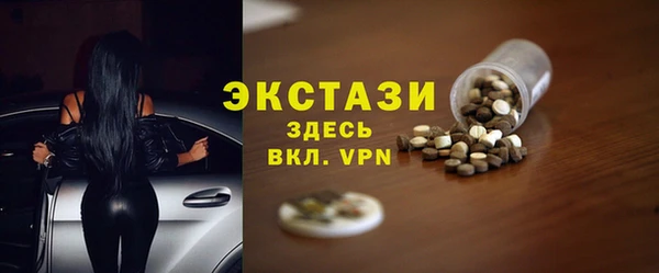 спиды Богородицк