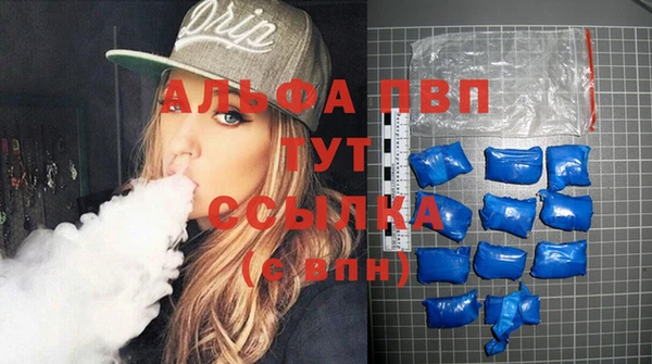 ГАЛЛЮЦИНОГЕННЫЕ ГРИБЫ Богданович