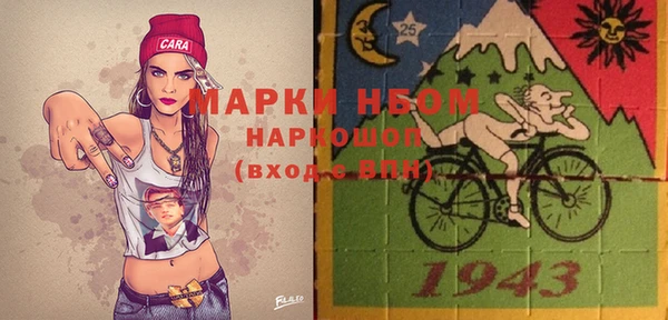мдпв Богородск