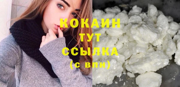 спиды Богородицк