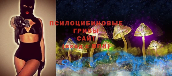 ГАЛЛЮЦИНОГЕННЫЕ ГРИБЫ Богданович