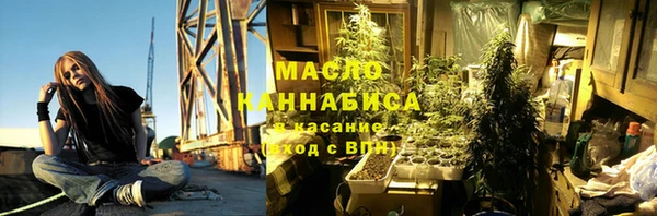 мдпв Богородск