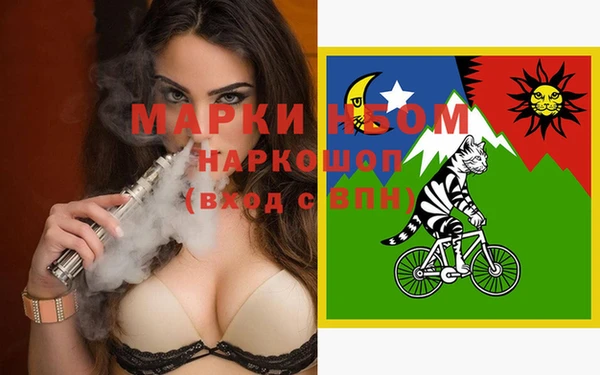 мдпв Богородск