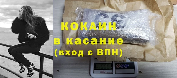ГАЛЛЮЦИНОГЕННЫЕ ГРИБЫ Богданович