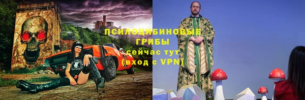ГАЛЛЮЦИНОГЕННЫЕ ГРИБЫ Богданович