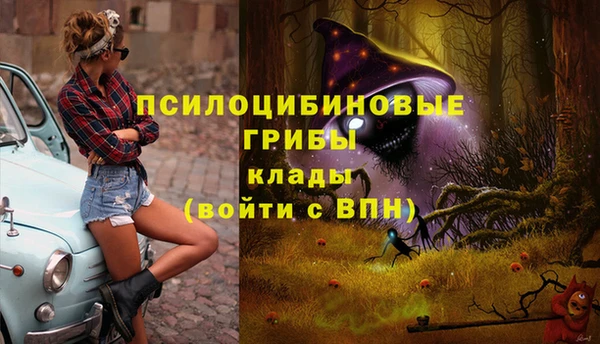 стаф Дмитров