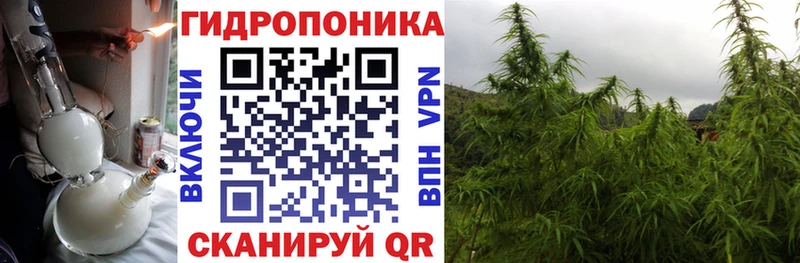 где купить наркоту  Биробиджан  МАРИХУАНА MAZAR 
